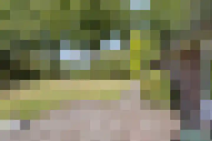 Barsweg 12 Hollandscheveld thumbnail 33