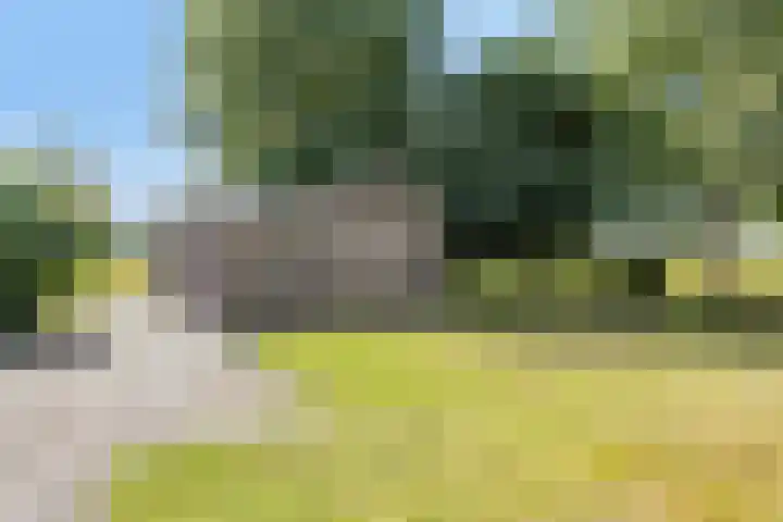 Barsweg 12 Hollandscheveld thumbnail 35