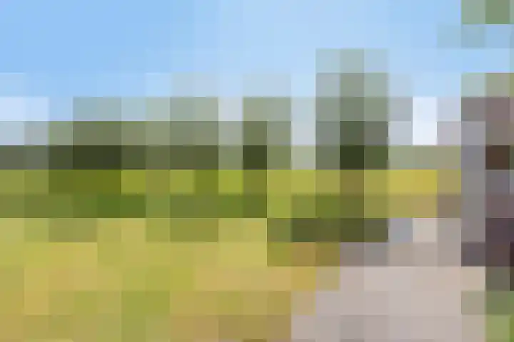Barsweg 12 Hollandscheveld thumbnail 36