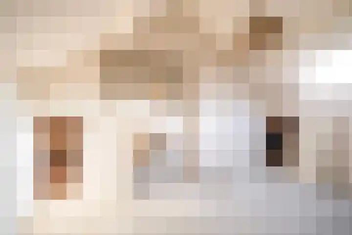 Bart Crumstraat 4 A Heelsum thumbnail 20