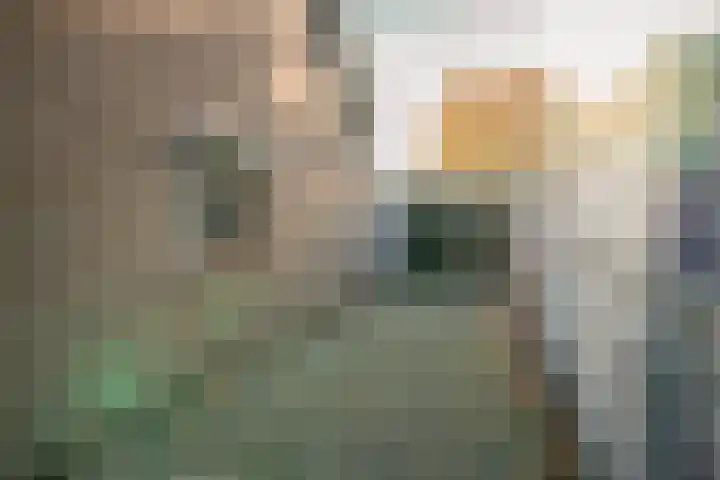 Bart Crumstraat 4 A Heelsum thumbnail 6