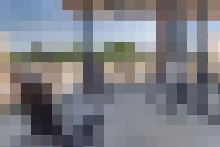 Bart Koekstraat 18 Harderwijk thumbnail 4