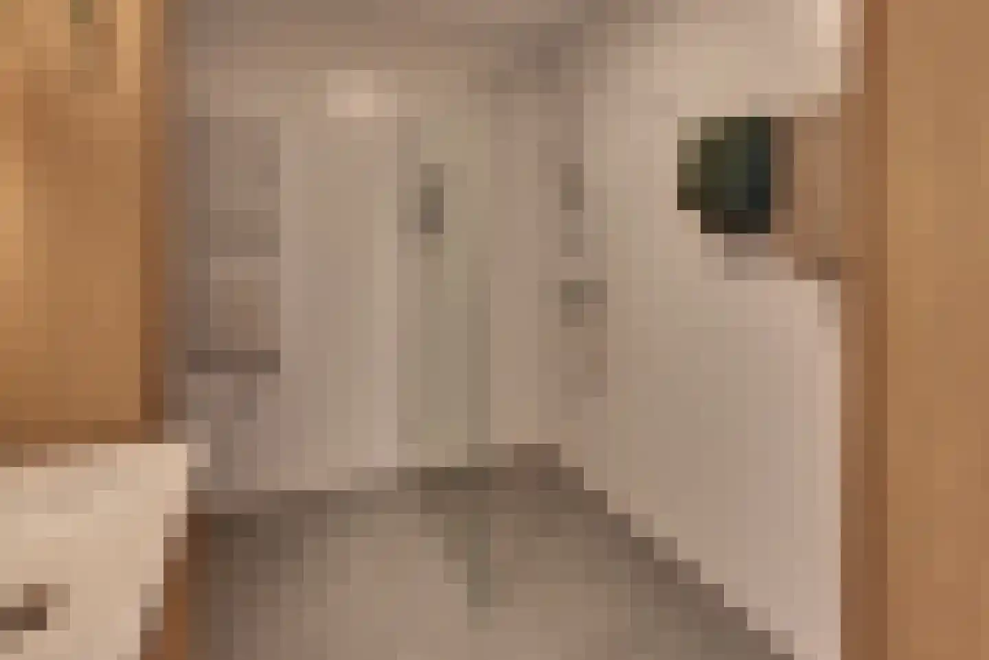 Bart Koekstraat 7 Harderwijk thumbnail 4