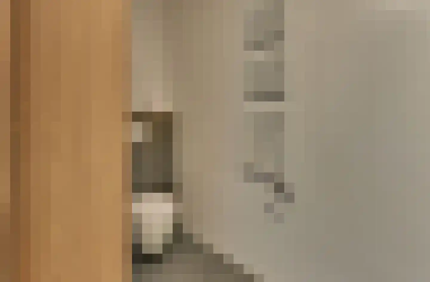 Bart Koekstraat 7 Harderwijk thumbnail 41