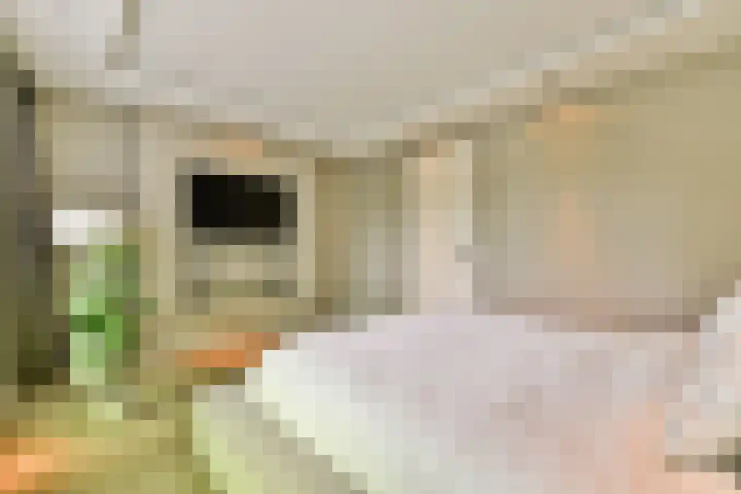 Bart Poesiatstraat 43 Amsterdam thumbnail 8