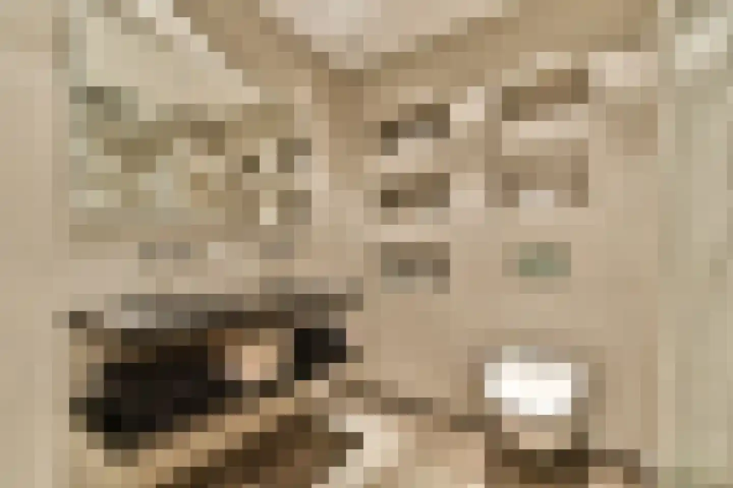 Bart Poesiatstraat 43 Amsterdam thumbnail 9