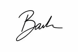 Photo of Bart van den Bighelaar