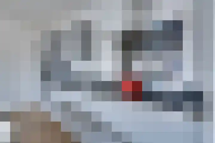 Bart van der Leckhof 100 Diemen thumbnail 23