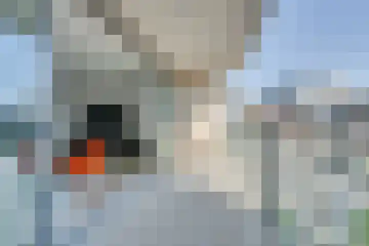 Bart van der Leckhof 100 Diemen thumbnail 26