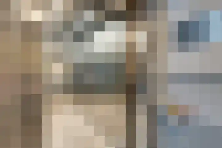 Bart van der Leckhof 100 Diemen thumbnail 9