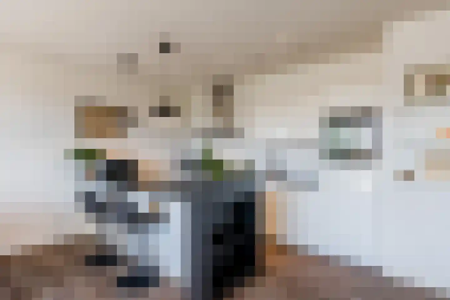 Bart van der Leckhof 106 Diemen thumbnail 4