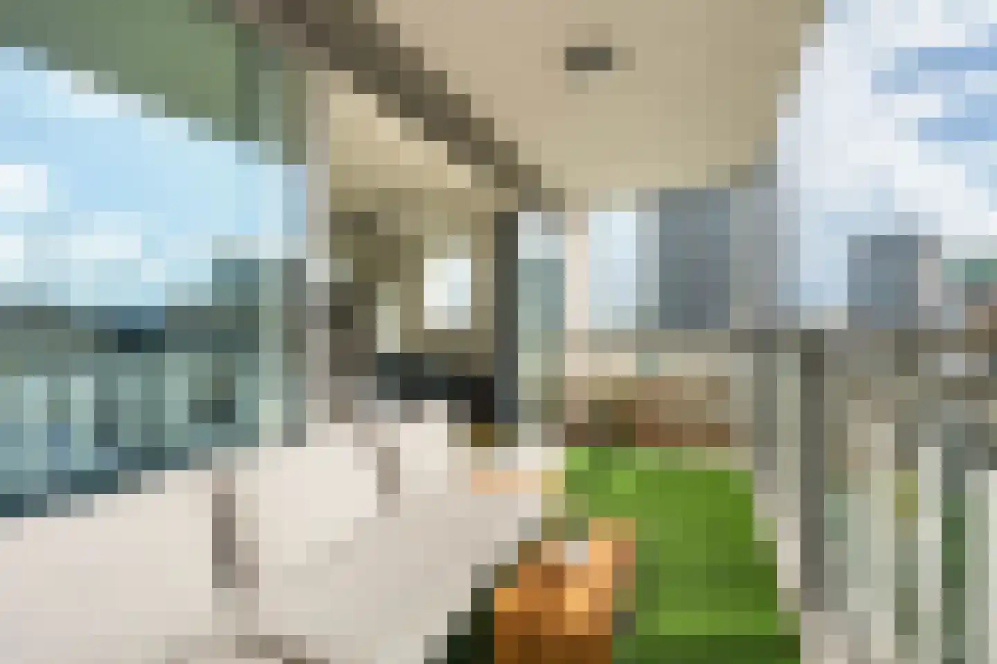 Bart van der Leckhof 116 Diemen thumbnail 18