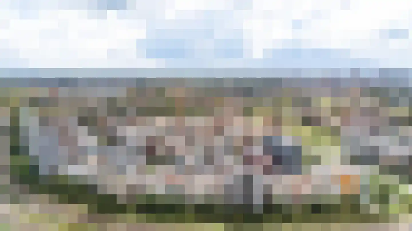 Bart van der Leckhof 116 Diemen thumbnail 43