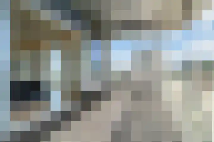 Bart van der Leckhof 138 Diemen thumbnail 10