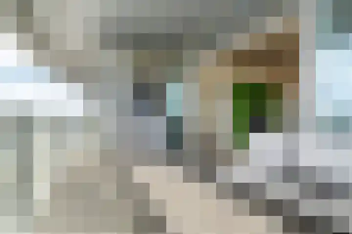 Bart van der Leckhof 138 Diemen thumbnail 12