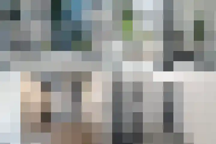 Bart van der Leckhof 138 Diemen thumbnail 37