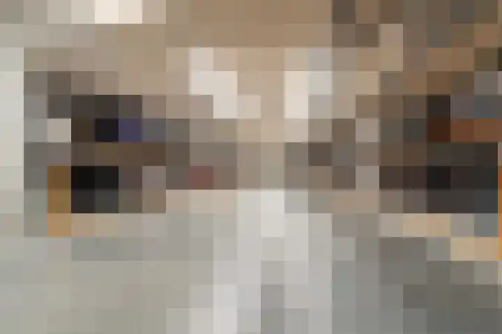 Bart van der Leckhof 138 Diemen thumbnail 39