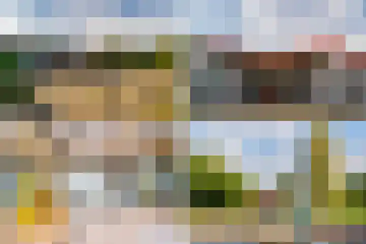 Bart van der Leckhof 138 Diemen thumbnail 55
