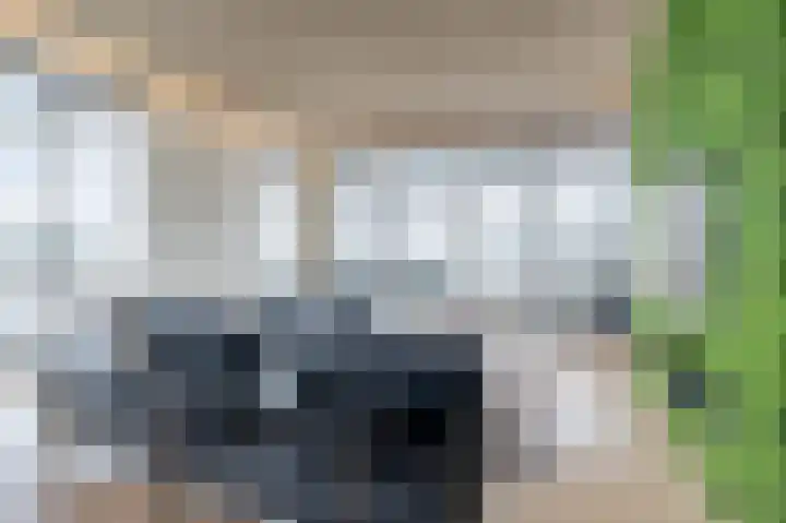 Bart van der Leckhof 138 Diemen thumbnail 8