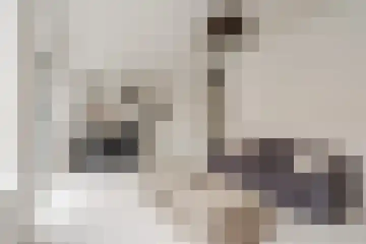 Bart van der Leckhof 24 Diemen thumbnail 10