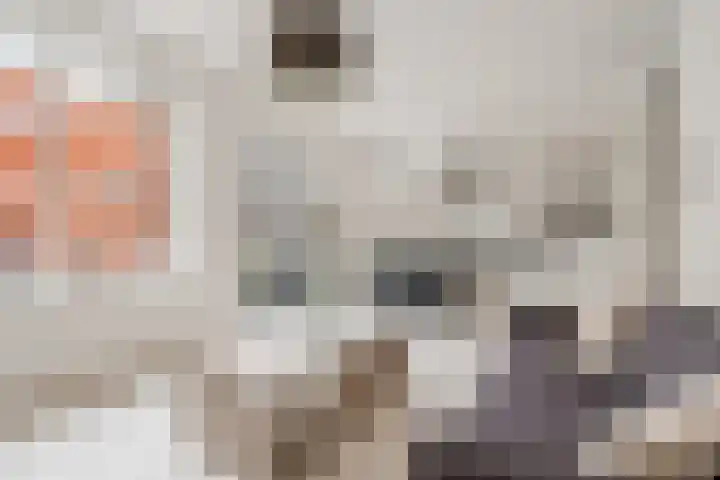 Bart van der Leckhof 24 Diemen thumbnail 11