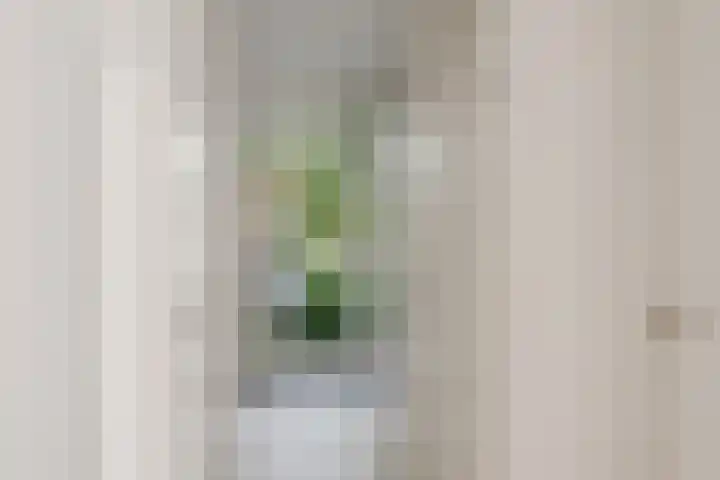Bart van der Leckhof 24 Diemen thumbnail 23