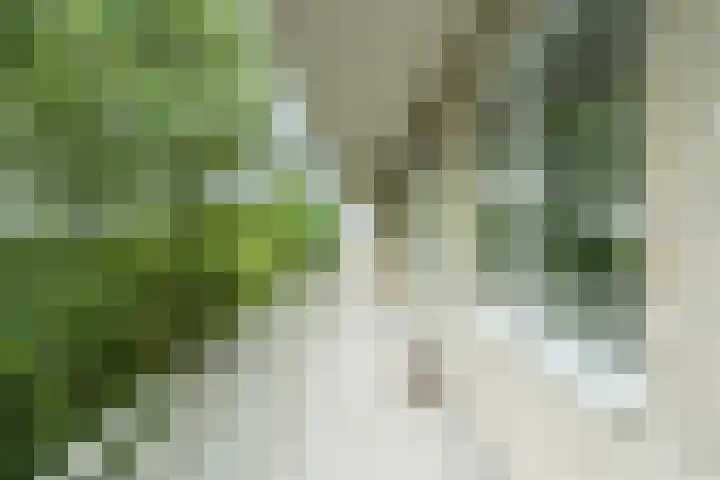 Bart van der Leckhof 24 Diemen thumbnail 34