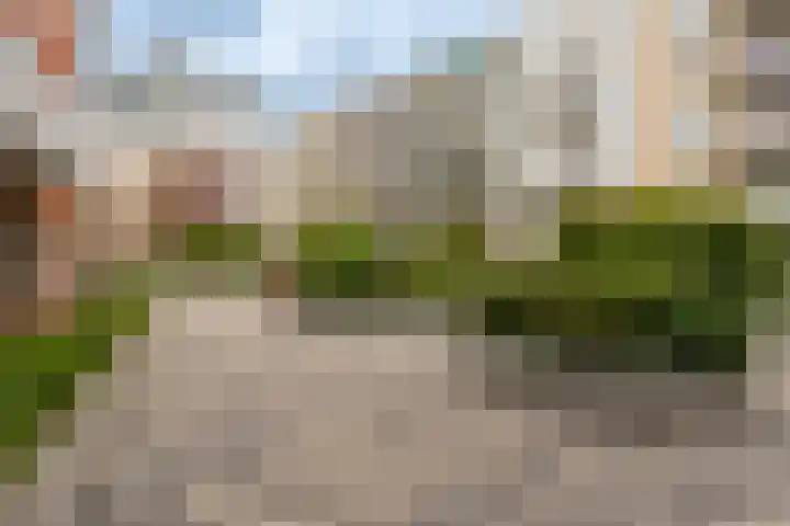 Bart van der Leckhof 24 Diemen thumbnail 6