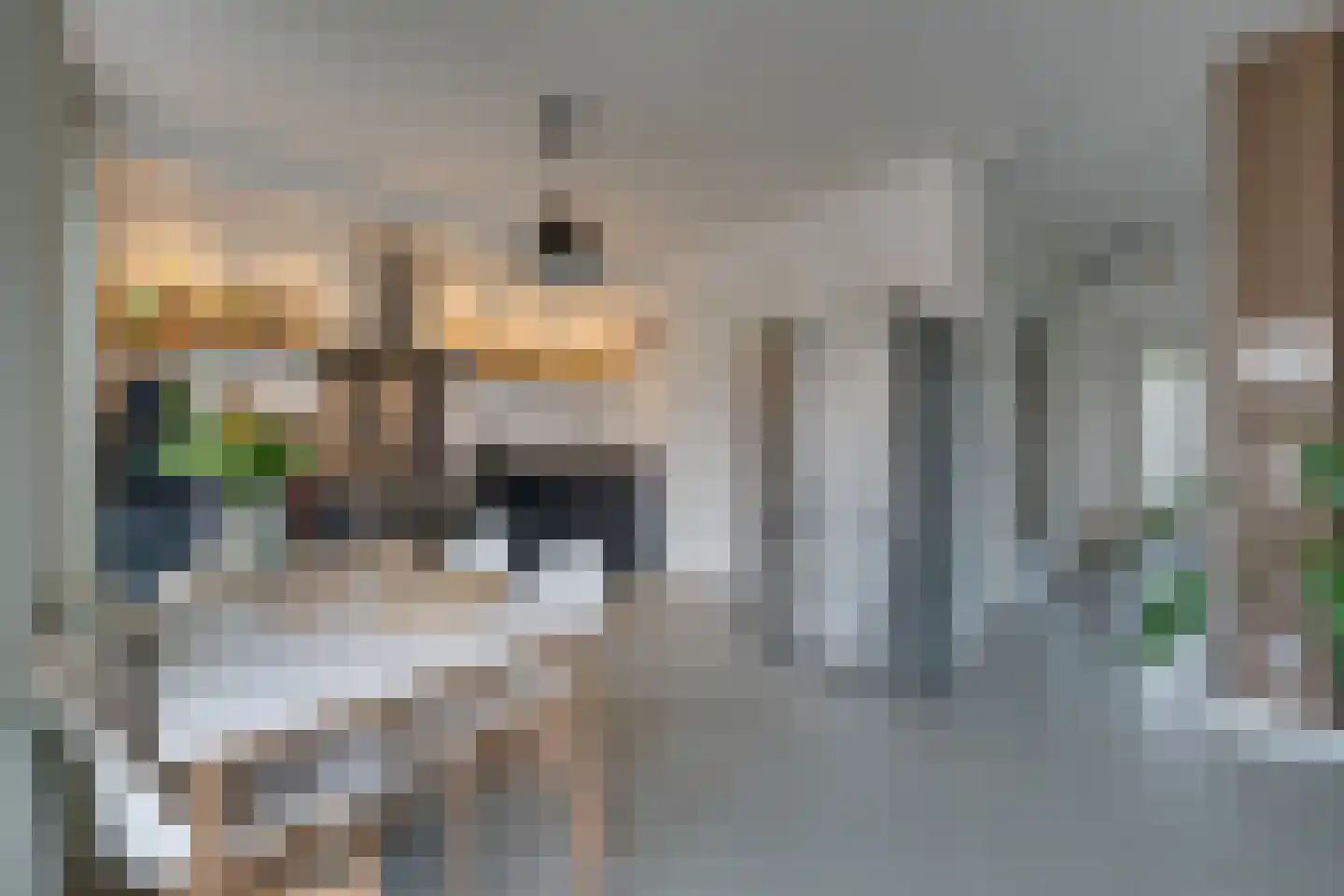 Bart van der Leckhof 42 Diemen thumbnail 20