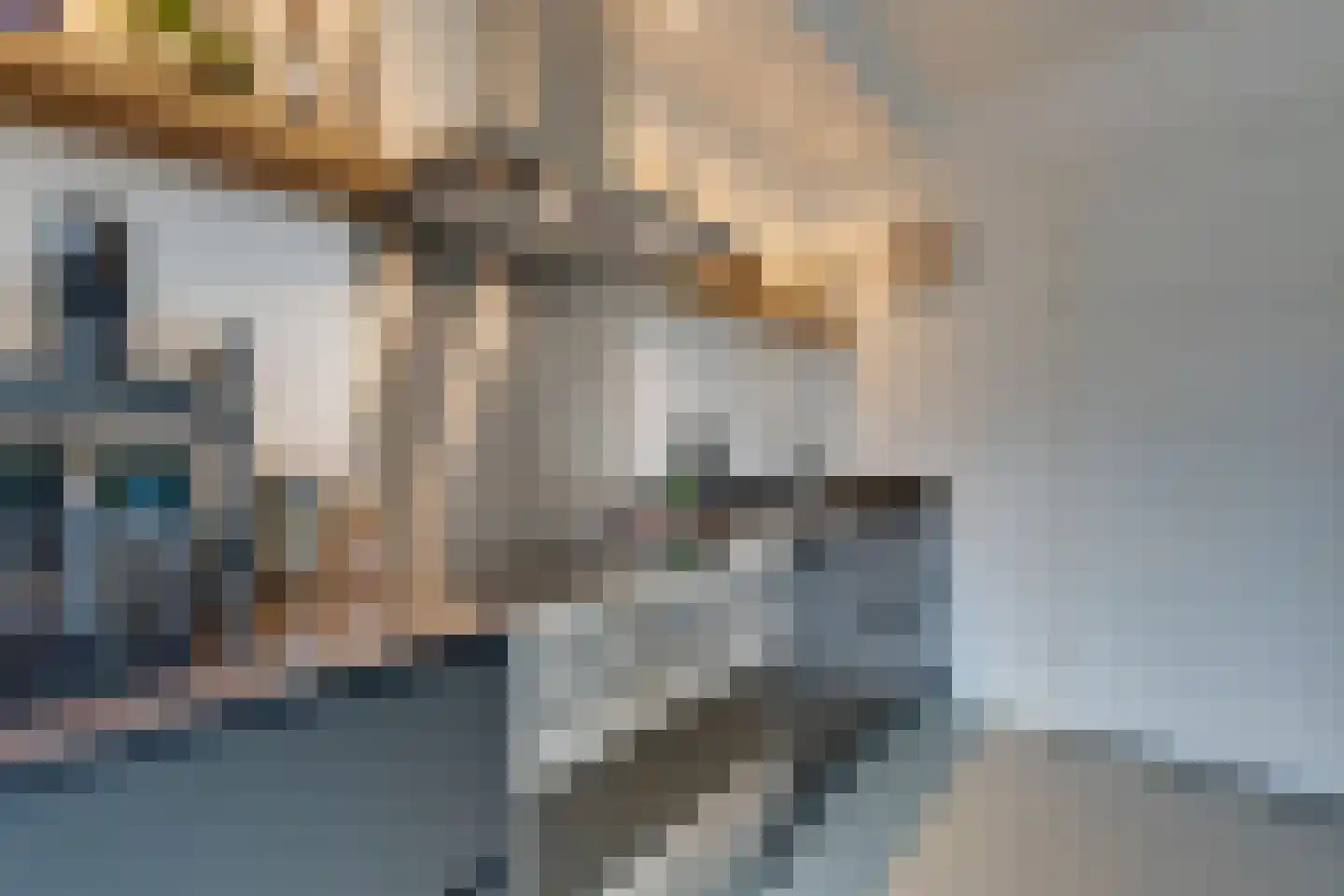 Bart van der Leckhof 42 Diemen thumbnail 23