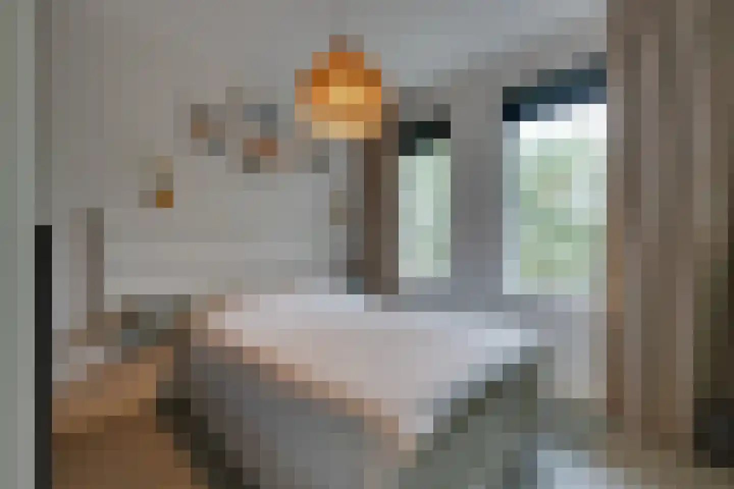 Bart van der Leckhof 42 Diemen thumbnail 31