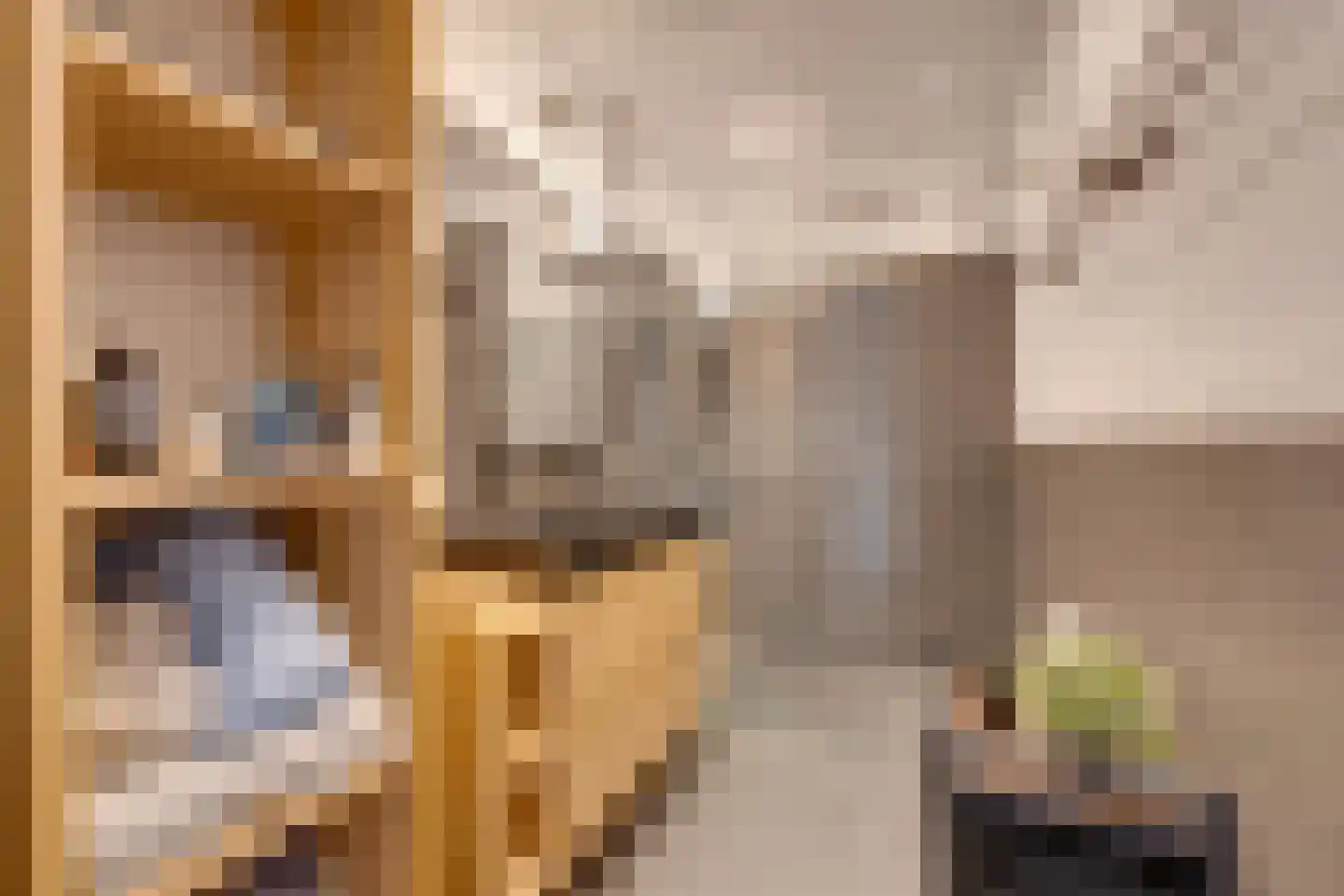 Bart van der Leckhof 42 Diemen thumbnail 36