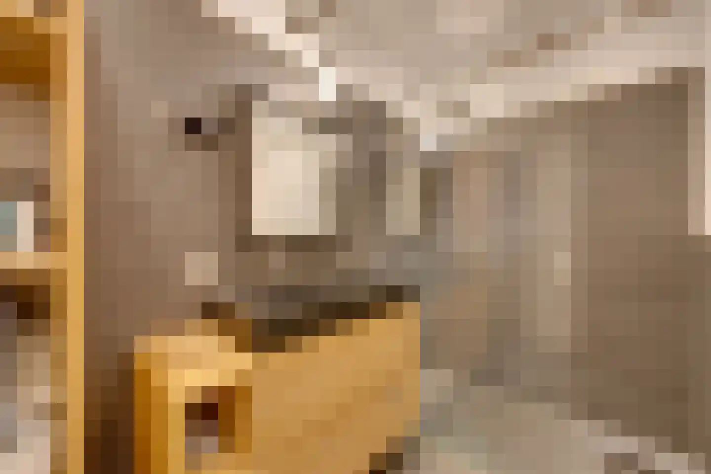Bart van der Leckhof 42 Diemen thumbnail 37
