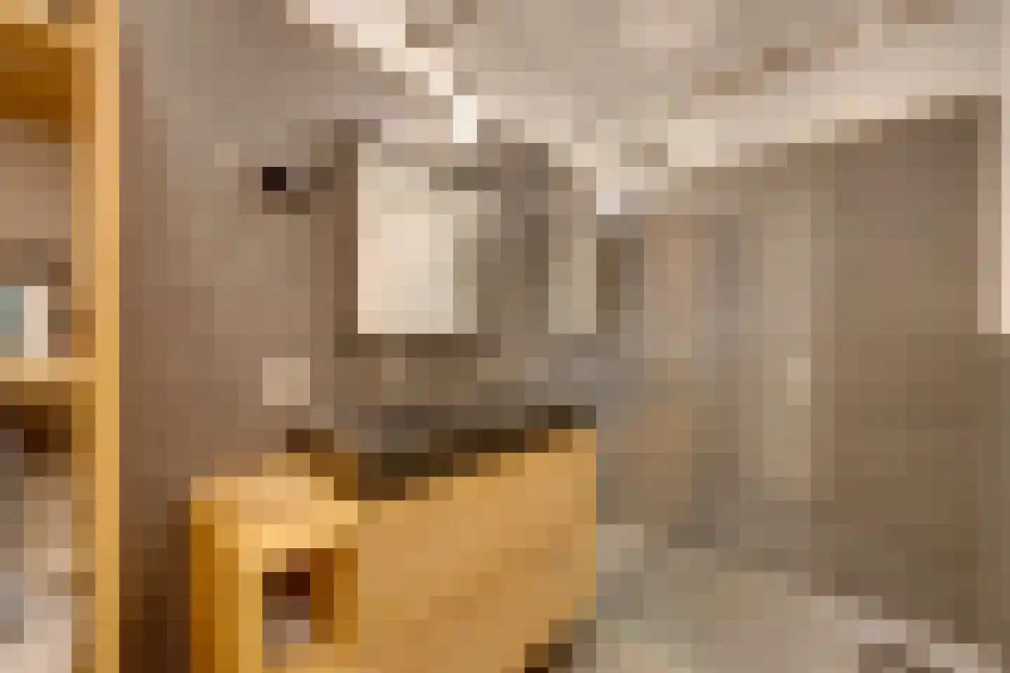 Bart van der Leckhof 42 Diemen thumbnail 5