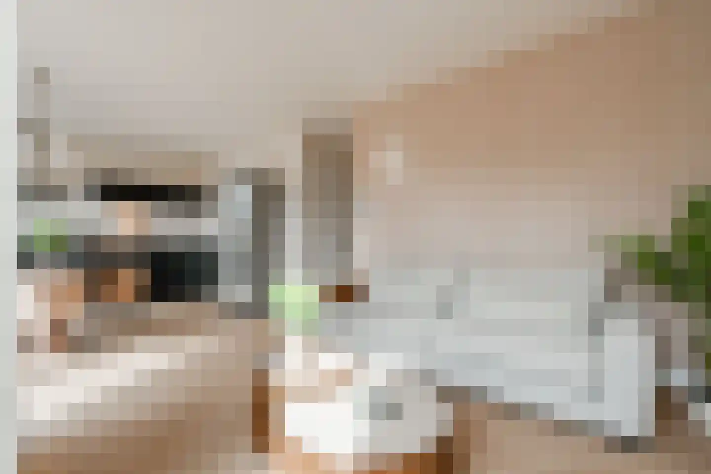 Bart van der Leckhof 58 Diemen thumbnail 14