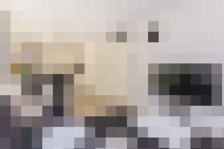 Bart van der Leckhof 6 Diemen thumbnail 12