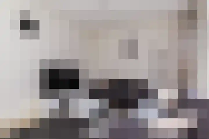Bart van der Leckhof 6 Diemen thumbnail 13