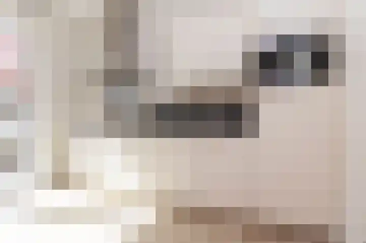 Bart van der Leckhof 6 Diemen thumbnail 15