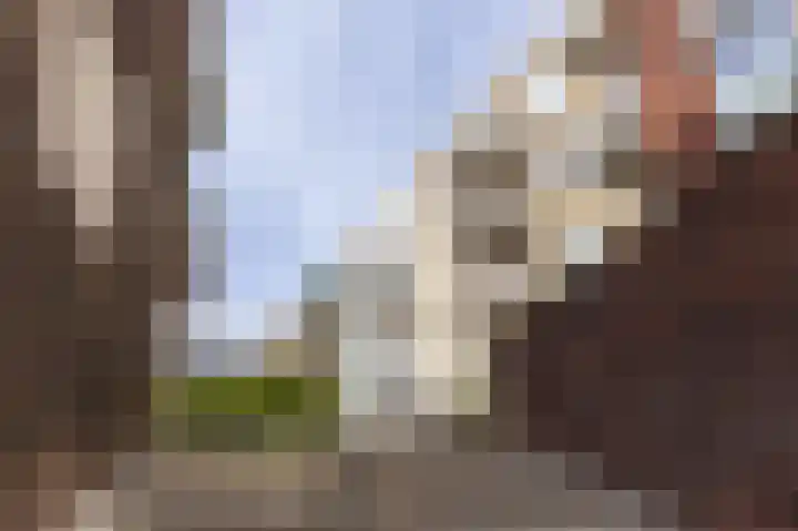 Bart van der Leckhof 6 Diemen thumbnail 34