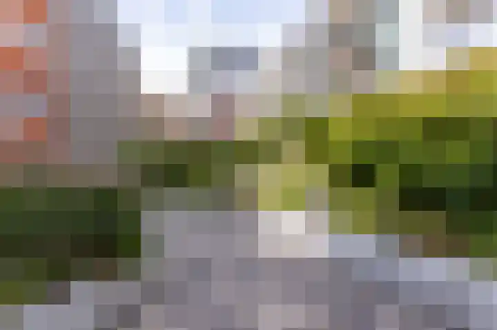 Bart van der Leckhof 6 Diemen thumbnail 35