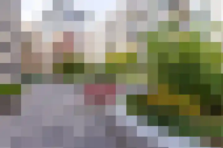Bart van der Leckhof 6 Diemen thumbnail 36
