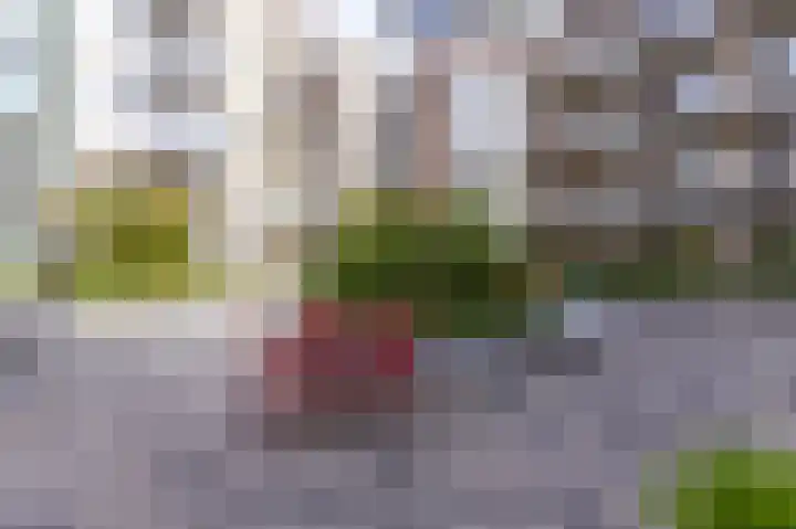 Bart van der Leckhof 6 Diemen thumbnail 37