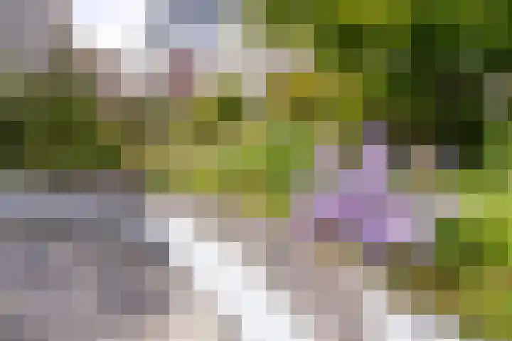 Bart van der Leckhof 6 Diemen thumbnail 38