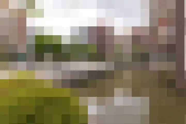 Bart van der Leckhof 6 Diemen thumbnail 44
