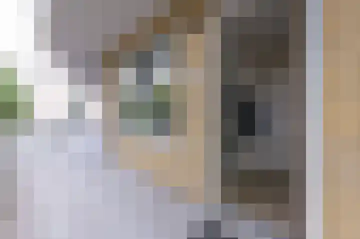 Bart van der Leckhof 6 Diemen thumbnail 6
