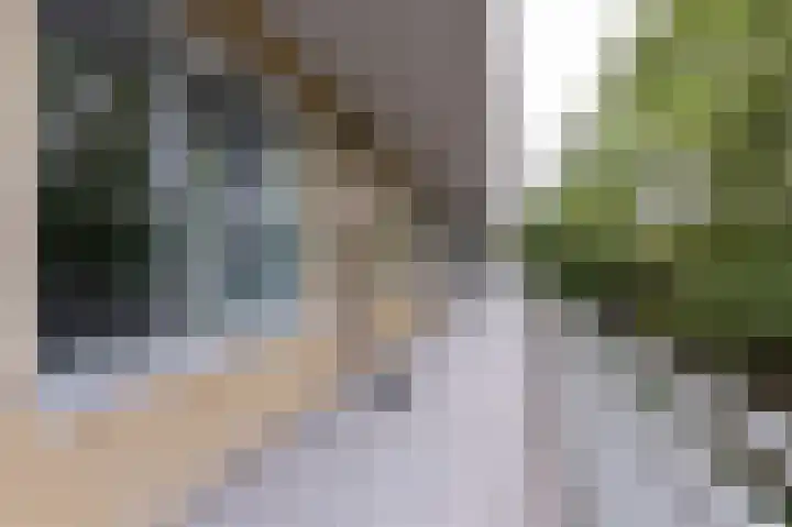 Bart van der Leckhof 6 Diemen thumbnail 7