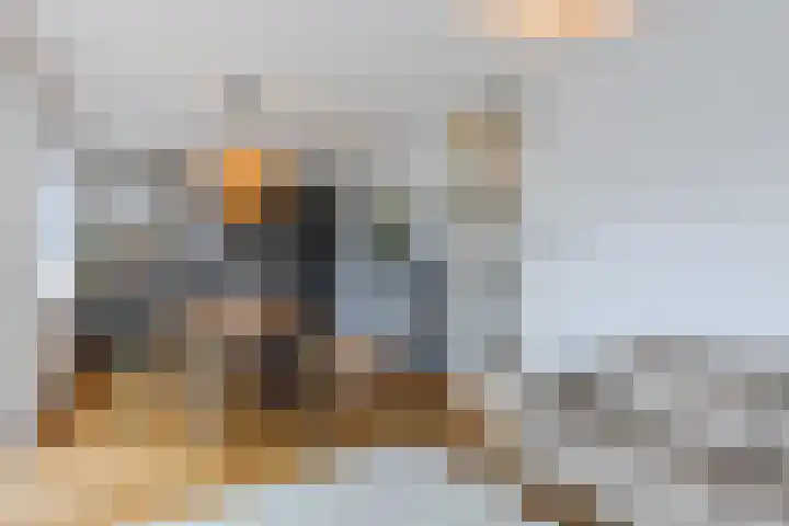 Bart van der Leckhof 64 Diemen thumbnail 12