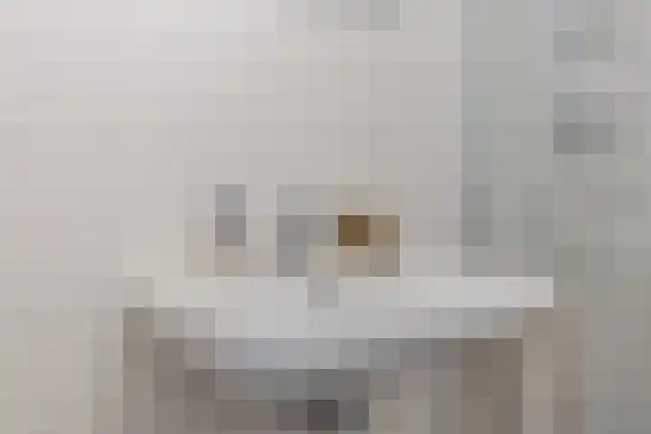 Bart van der Leckhof 64 Diemen thumbnail 27