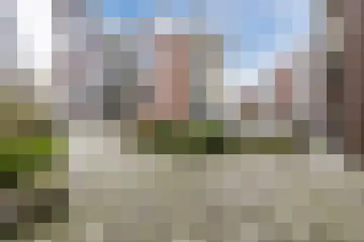 Bart van der Leckhof 64 Diemen thumbnail 39