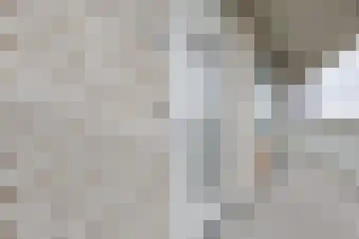 Bart van der Leckhof 64 Diemen thumbnail 6